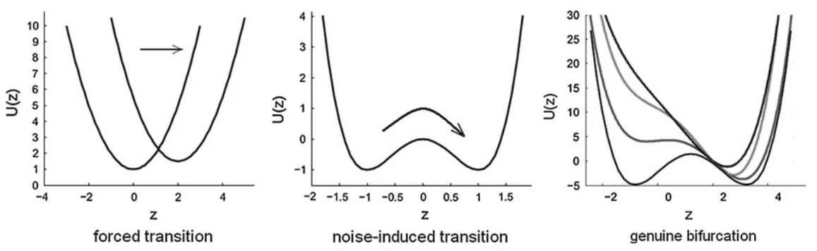 Different types of bifurcations studied: fold (saddle-node), transcritical, and pitchfork. Each has distinct early warning signatures.